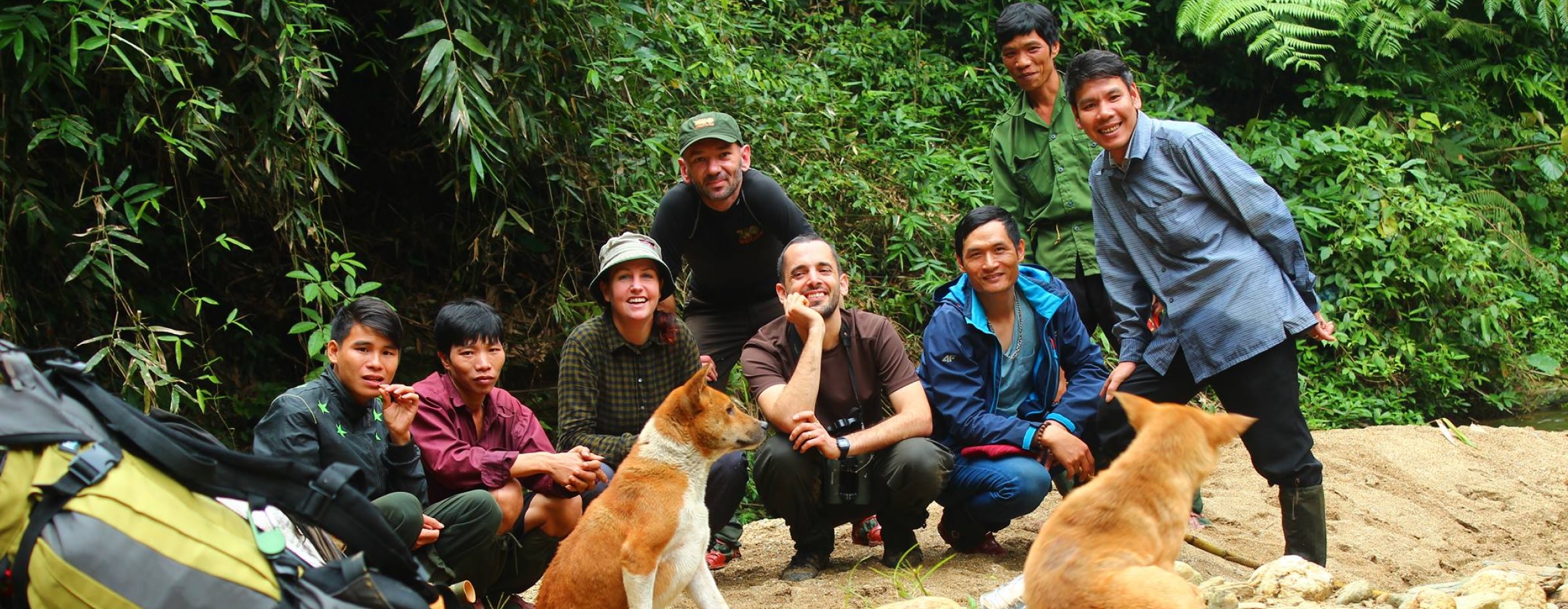 Program ratowania saola wkroczył w decydującą fazę