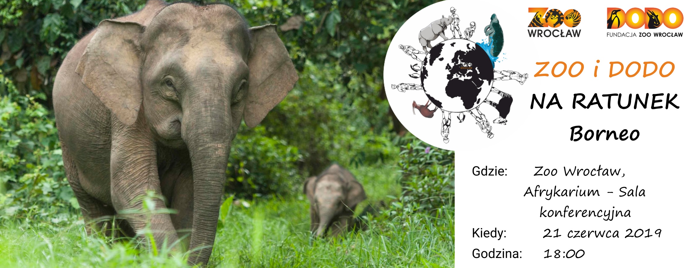 Zoo i Dodo na ratunek Borneo