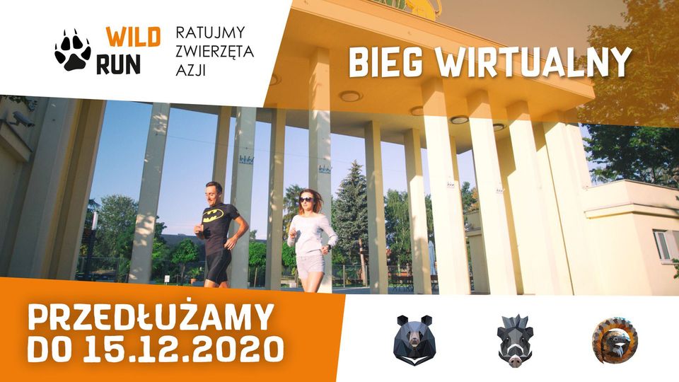 Wild Run 2020 bieg wirtualny grafika reklamowa