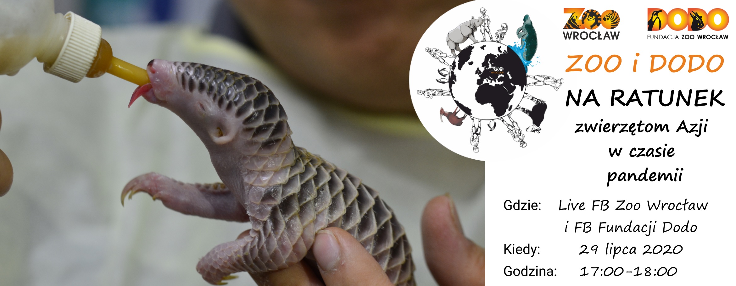 Zoo and Dodo to rescue Asian animals during a pandemic