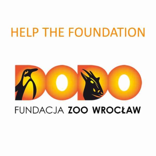 Make a donation to the Foundation ZOO Wrocław - DODO