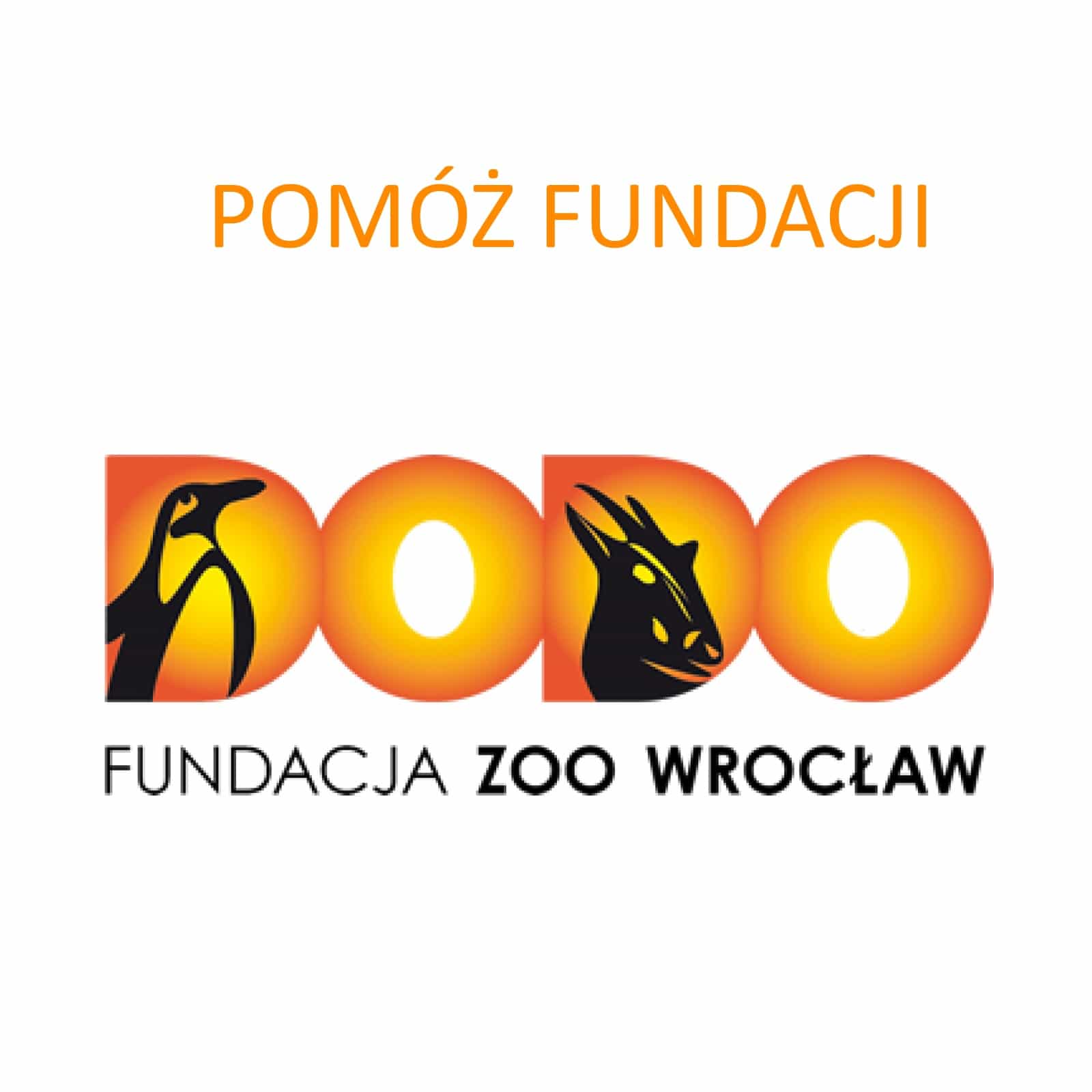 Przekaż darowiznę dla Fundacji ZOO Wrocław - DODO