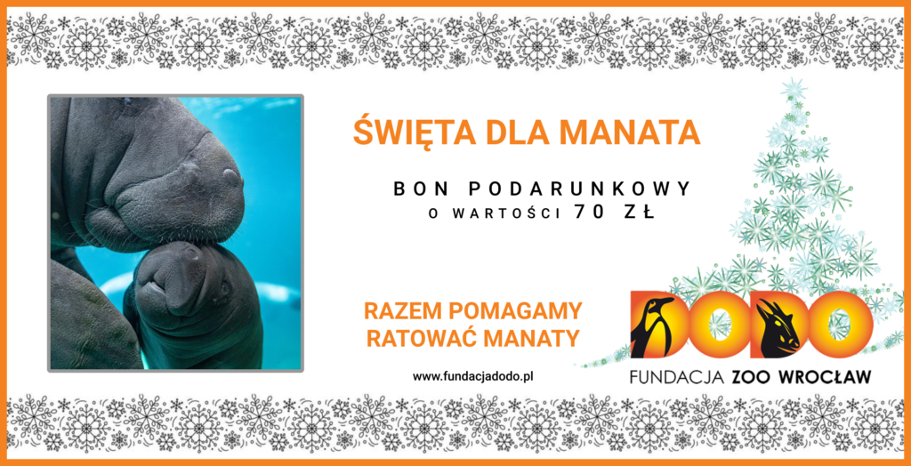 Kup bon podarunkowy dla manata
