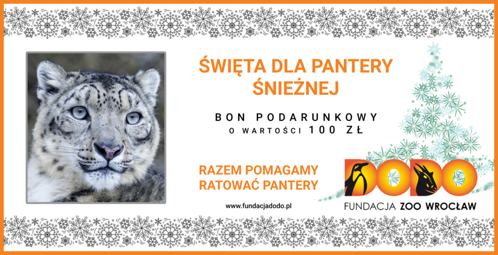 Kup bon podarunkowy dla pantery snieznej