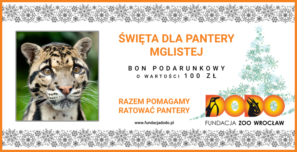 Kup bon podarunkowy dla pantery mglistej