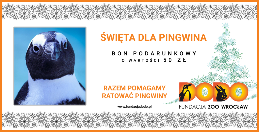 Kup bon podarunkowy dla pingwina