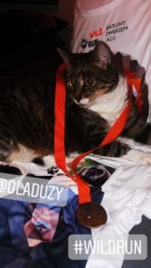 Kot biegacz w Wild Run 2020. fot. Ola Duży