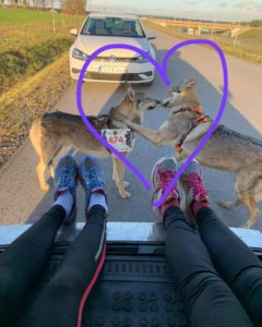 Wilczaki biegną w Wild Run 2020