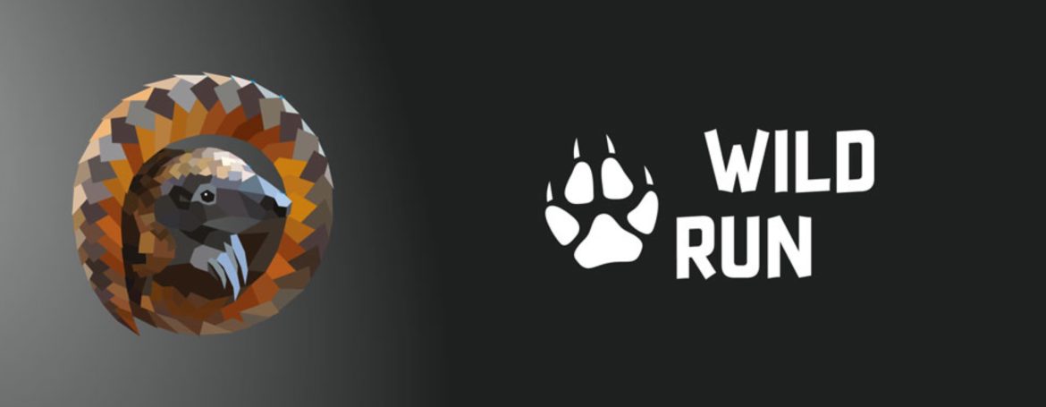 Wild Run 2020 grafika z pangolinem