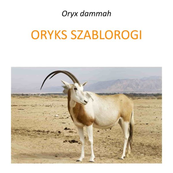 Program ochrony oryksa szablorogiego