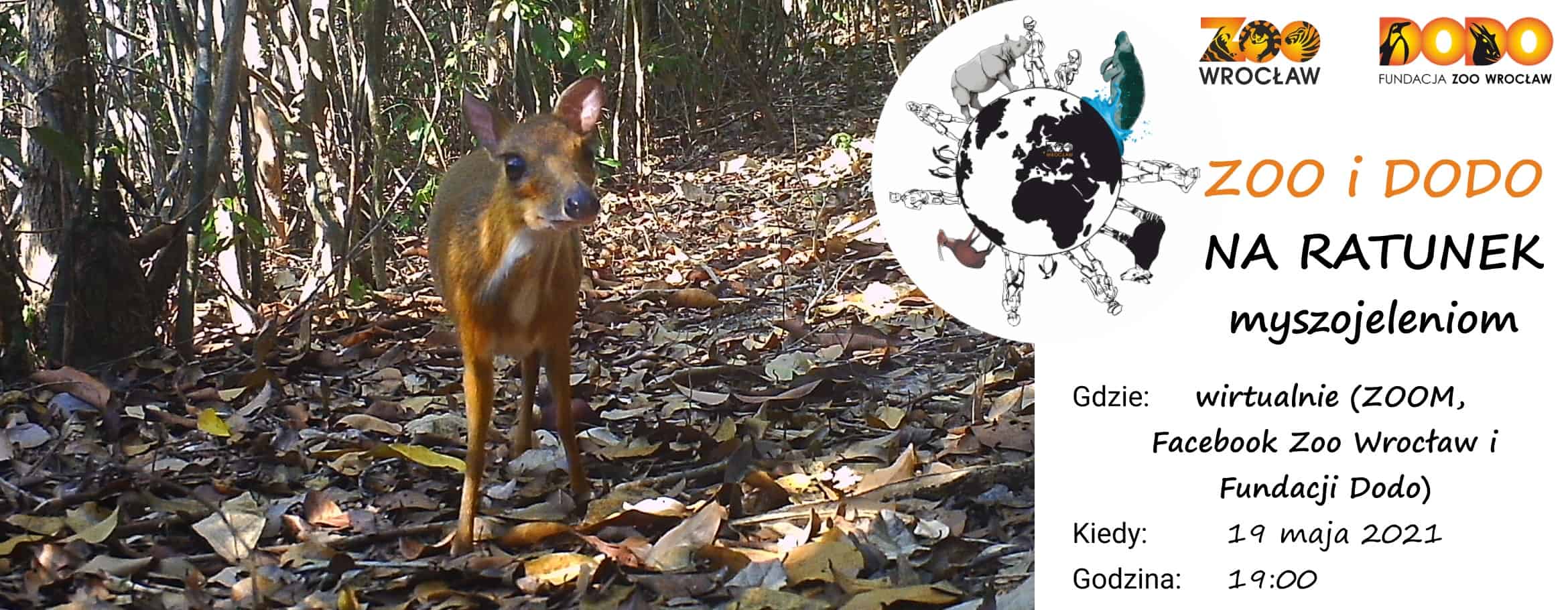 Zoo i Dodo na ratunek myszojeleniom