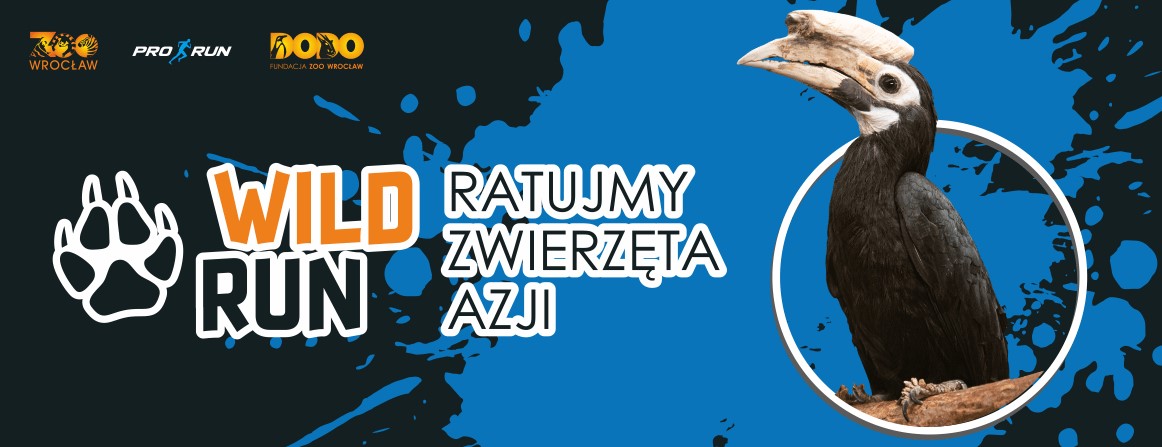 Podsumowanie WILD RUN 2022