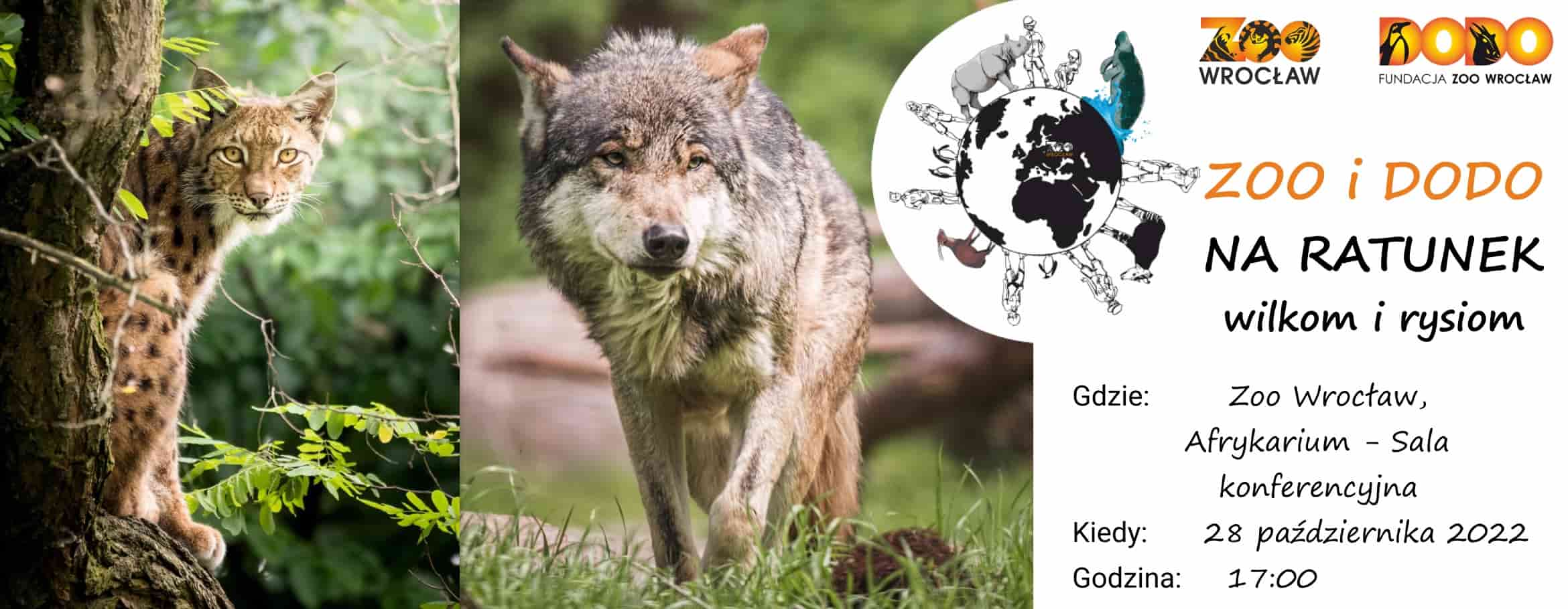 Zoo i Dodo na ratunek wilkom i rysiom