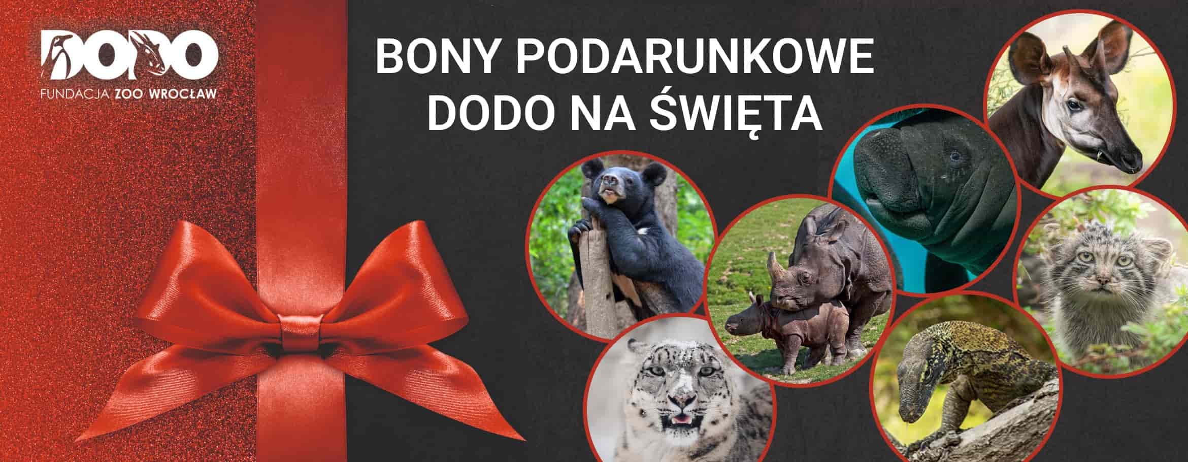 Bony podarunkowe na Święta