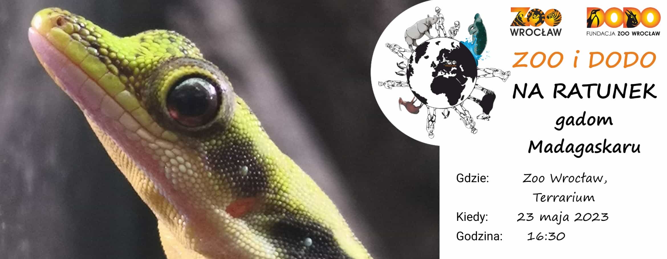 Zoo i Dodo na ratunek gadom Madagaskaru